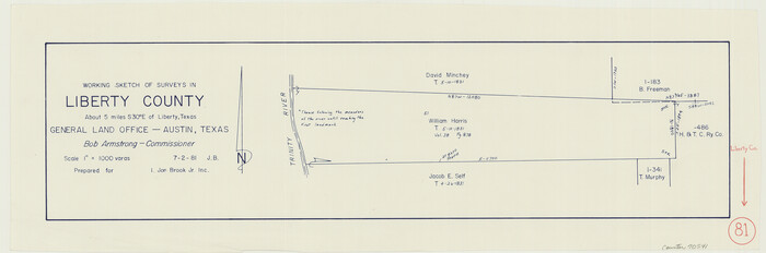 70541, Liberty County Working Sketch 81, General Map Collection