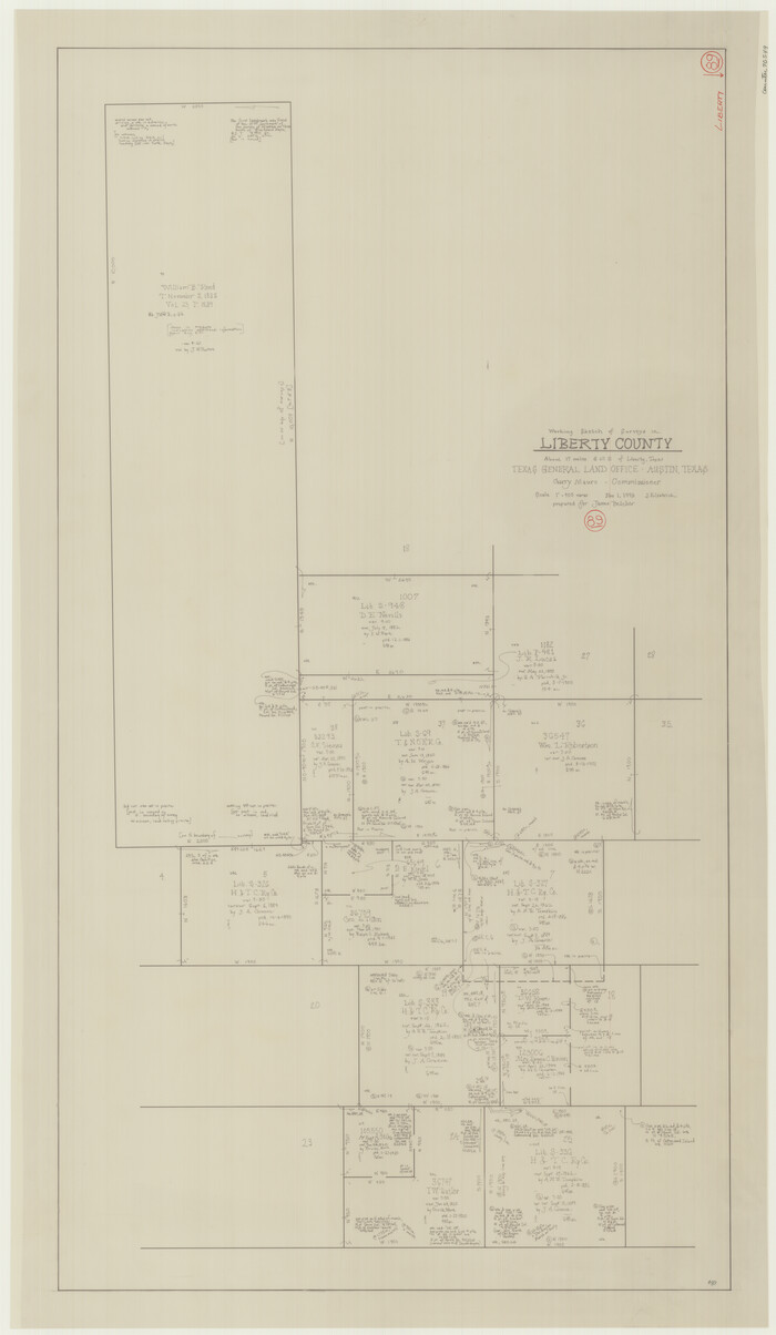70549, Liberty County Working Sketch 89, General Map Collection