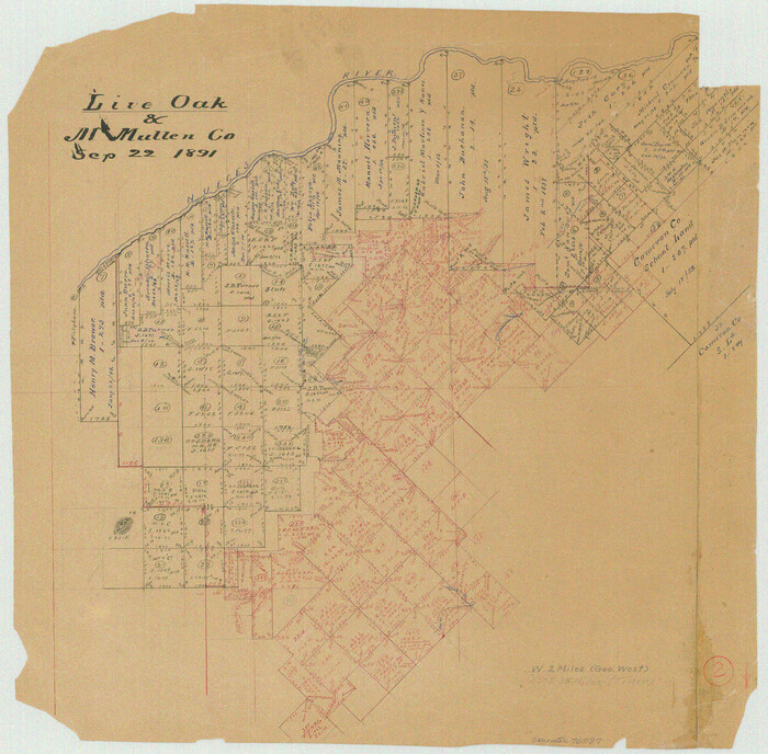 70587, Live Oak County Working Sketch 2, General Map Collection