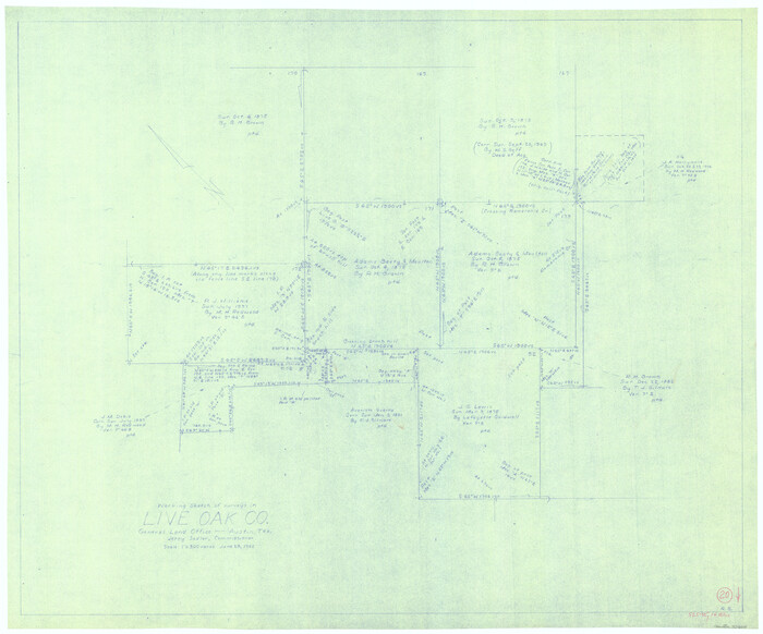 70605, Live Oak County Working Sketch 20, General Map Collection