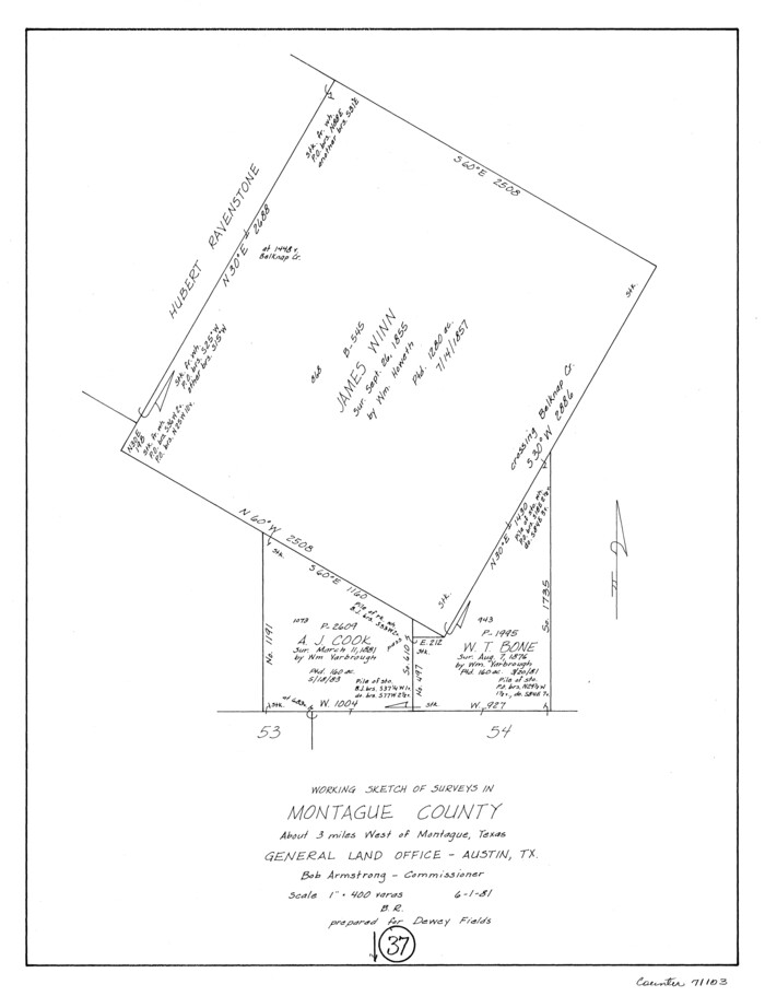 71103, Montague County Working Sketch 37, General Map Collection