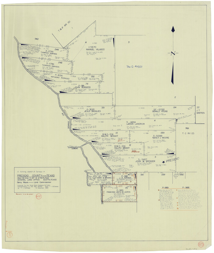 71803, Presidio County Working Sketch 125, General Map Collection
