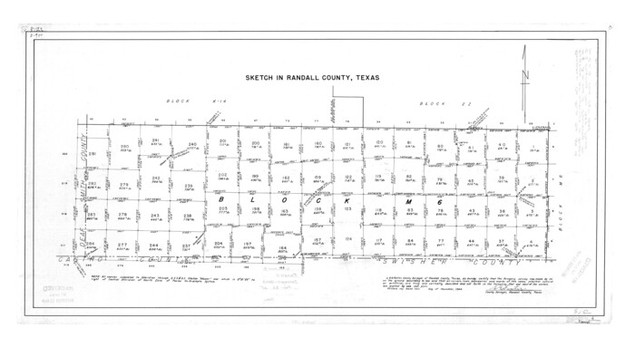 7424, Randall County Rolled Sketch 4, General Map Collection