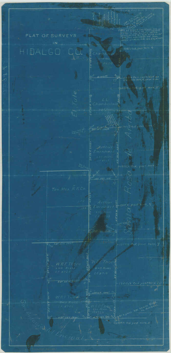 75547, Plat of Surveys in Hidalgo Co., Maddox Collection