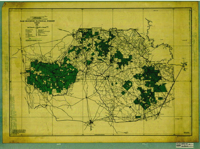 7561, San Jacinto County Rolled Sketch 12, General Map Collection
