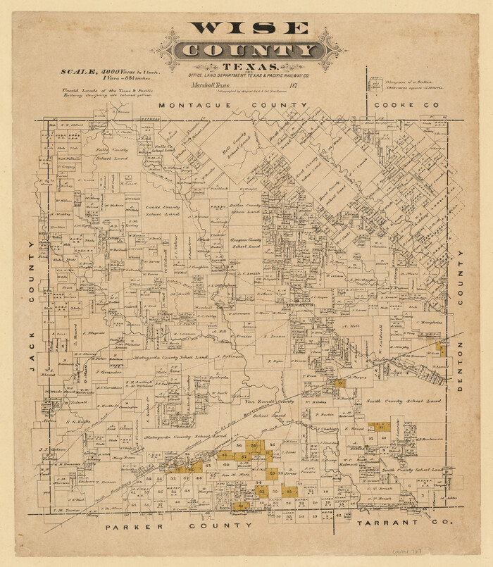 767, Wise County, Texas, Maddox Collection
