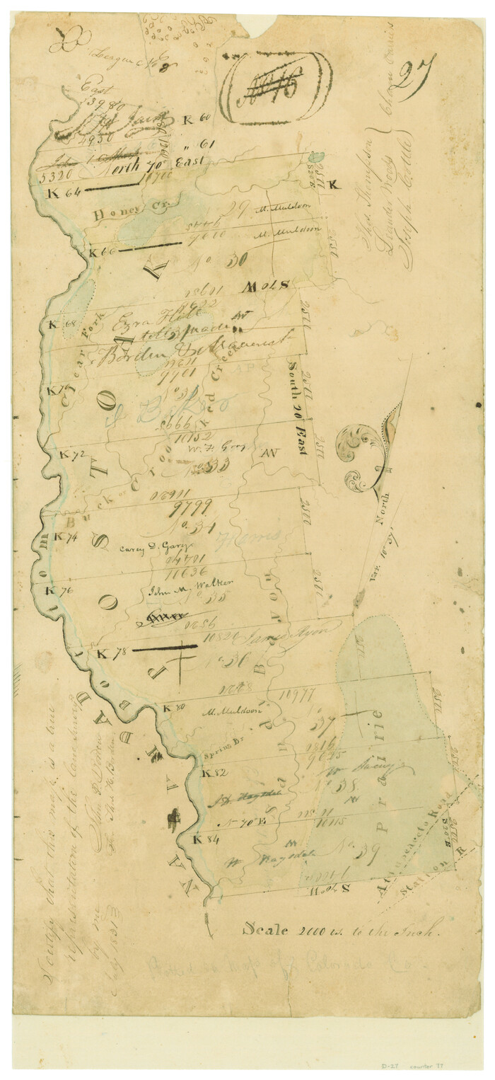 77, [Surveys in Austin's Colony along the Navidad River; John P. Borden for Thos. H. Borden], General Map Collection