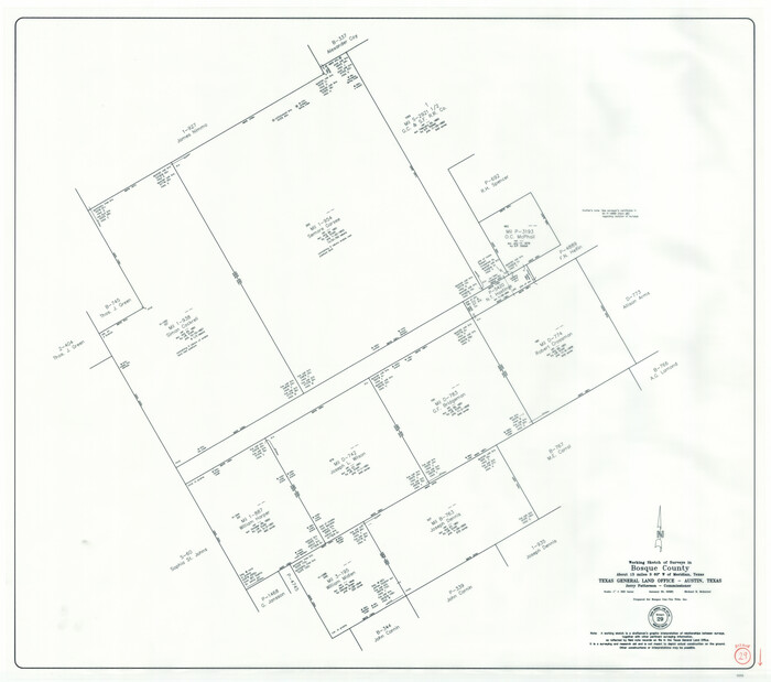 88997, Bosque County Working Sketch 29, General Map Collection