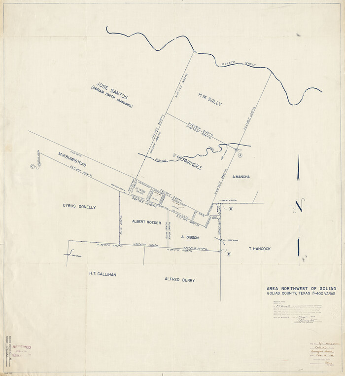 9011, Goliad County Rolled Sketch 4, General Map Collection