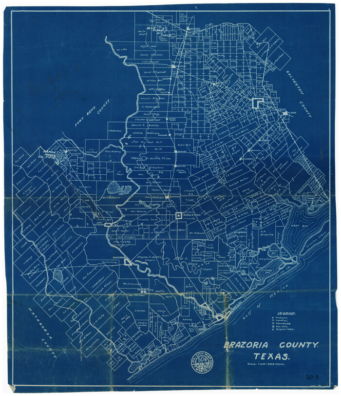 90138, Brazoria County, Twichell Survey Records