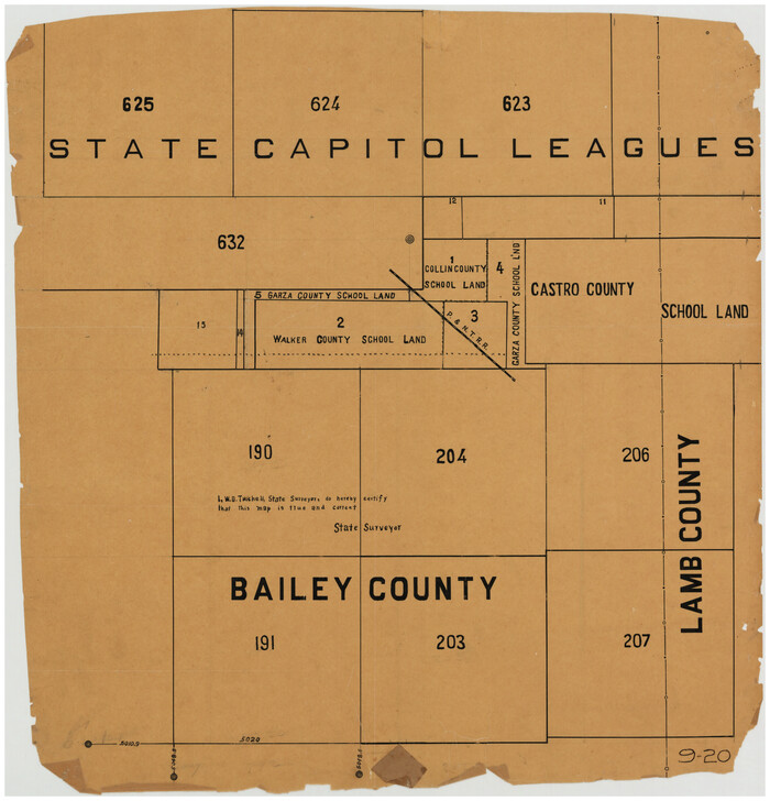 90163, [State Capitol Leagues along Bailey-Lamb County Line], Twichell Survey Records