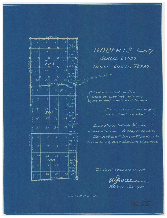 90199, Roberts County School Lands, Bailey County, Texas, Twichell Survey Records