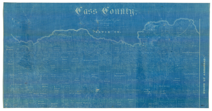 90385, [North part] Cass County, Twichell Survey Records