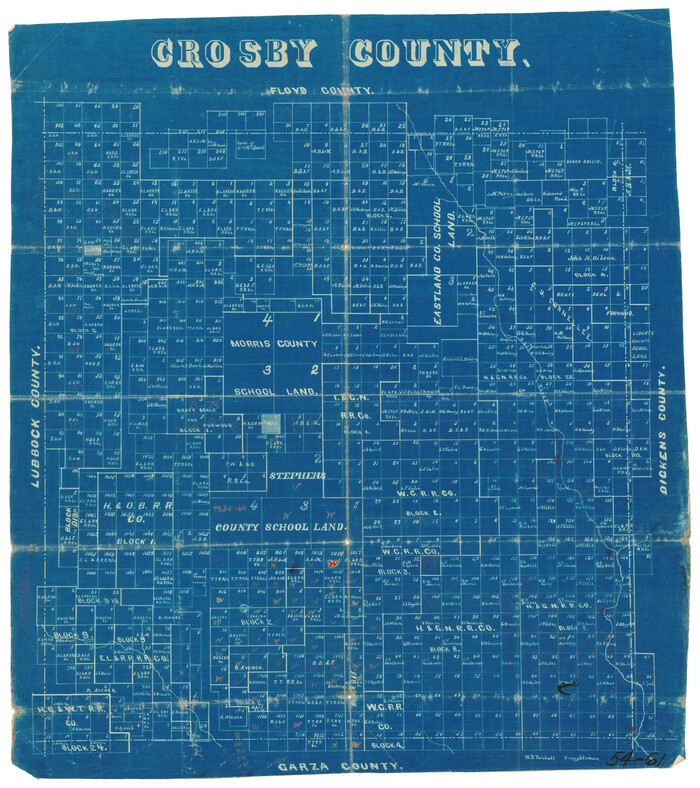 90491, Crosby County, Twichell Survey Records