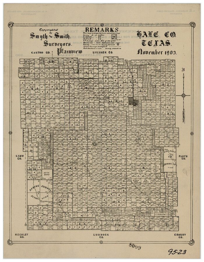 90698, Map of Hale County, Texas, Twichell Survey Records