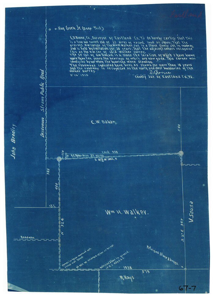 90880, [Sketch showing C. W. Dakan, Wm. H. Walker and surrounding surveys], Twichell Survey Records