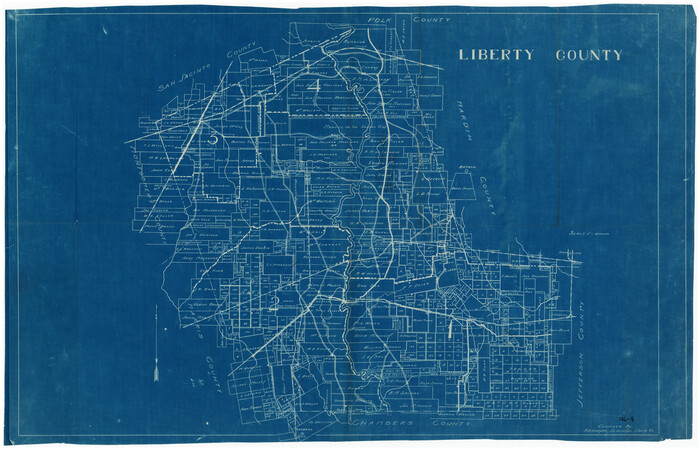 91012, Liberty County, Twichell Survey Records