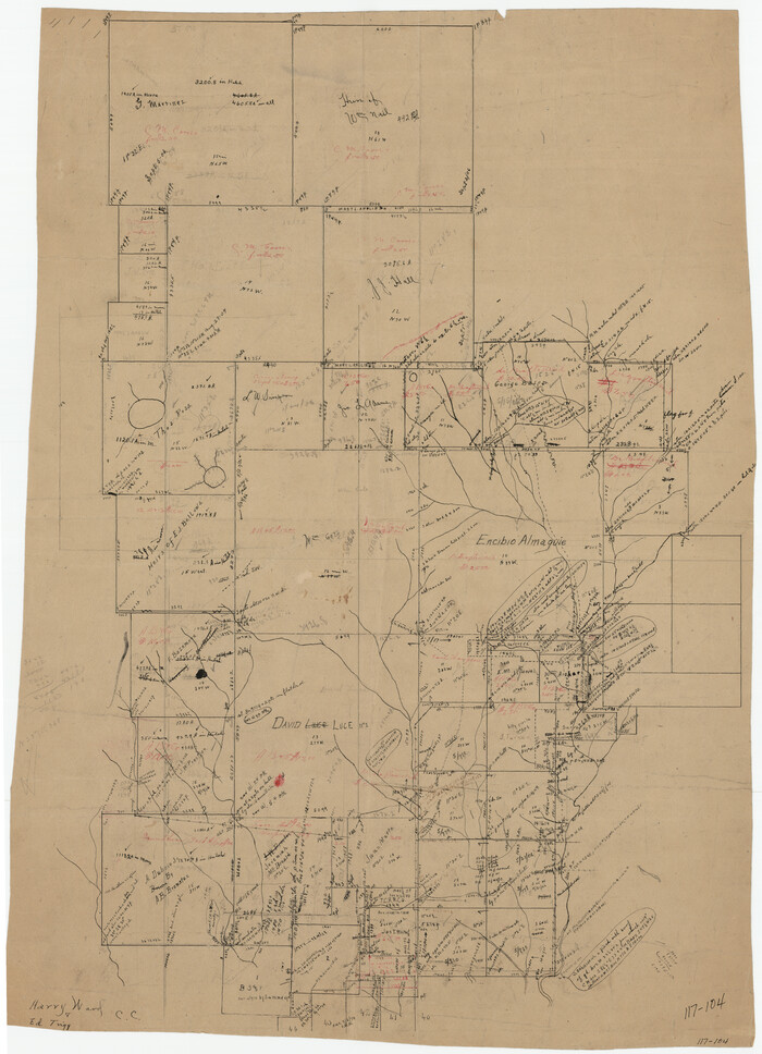 91191, [Hall, Luce, Aimaguie, and surrounding surveys], Twichell Survey Records