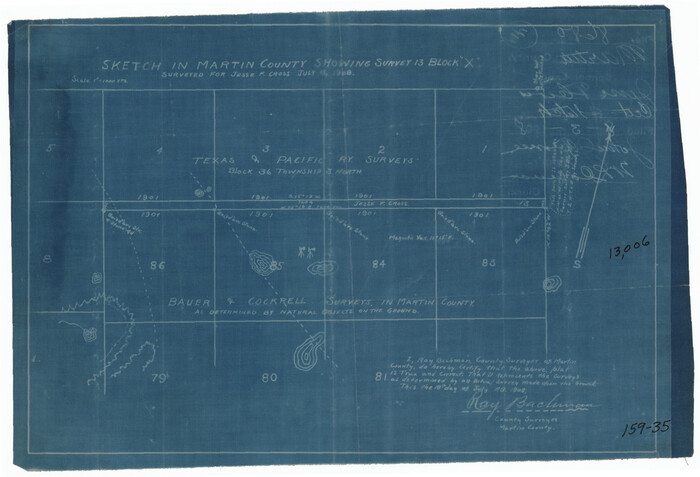 91286, Sketch in Martin County Showing Survey 13, Block X, Twichell Survey Records