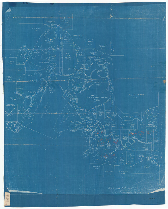 91389, [Caddo Lake Area], Twichell Survey Records