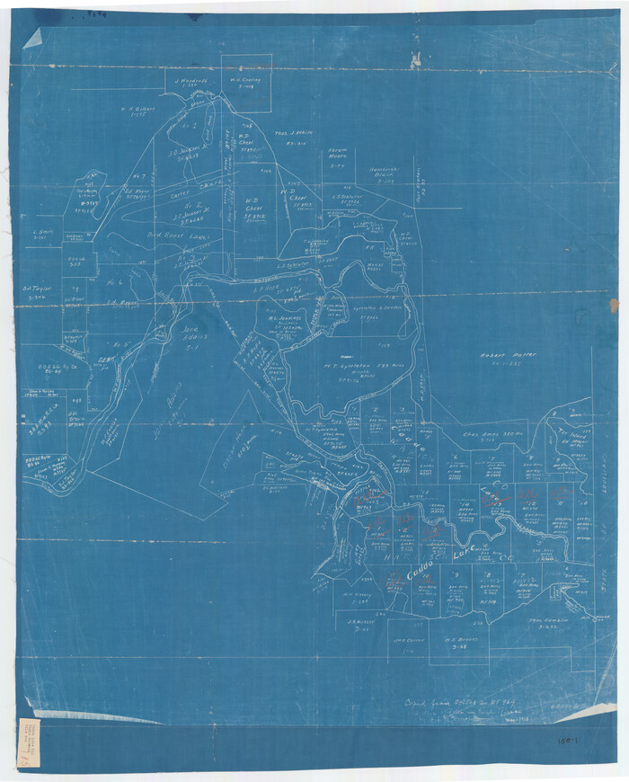91389, [Caddo Lake Area], Twichell Survey Records