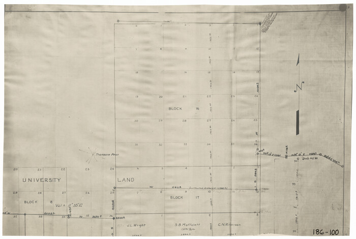 91562, [Map of Portion of Pecos County as Surveyed by F. F. Friend], Twichell Survey Records