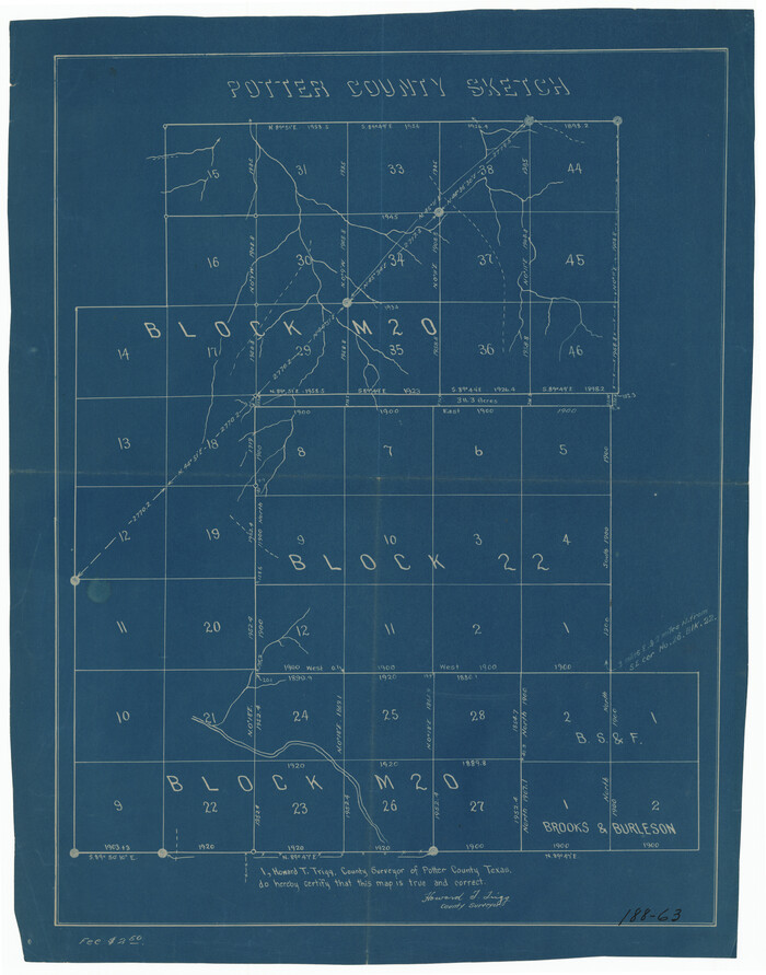 91717, [Sketch showing Block M-20, Sections 9 through 46 and Block 22, Sections 1 through 12], Twichell Survey Records