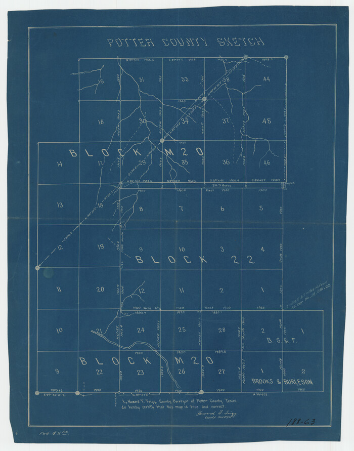 91717, [Sketch showing Block M-20, Sections 9 through 46 and Block 22, Sections 1 through 12], Twichell Survey Records