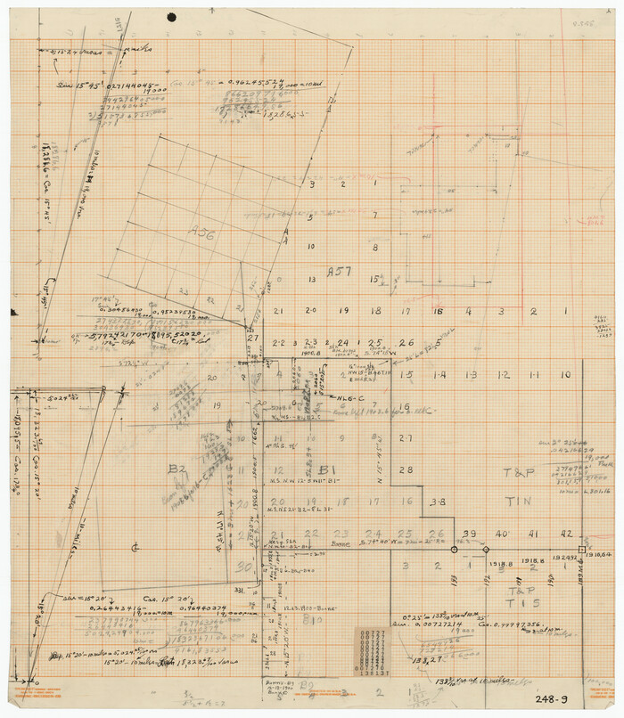 91978, [Sketch of Public School Land Blocks A56, A57, B1, B2, B10, T&P 46], Twichell Survey Records