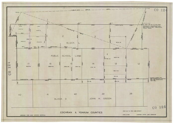 92513, Cochran and Yoakum Counties, Texas, Twichell Survey Records