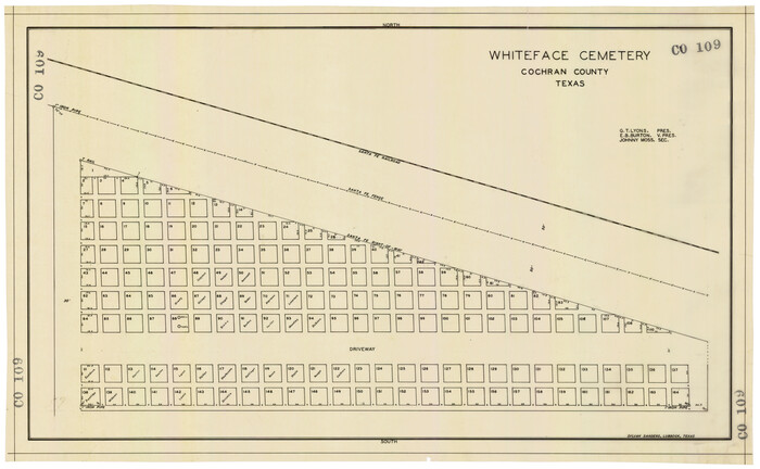 92525, Whiteface Cemetery, Twichell Survey Records