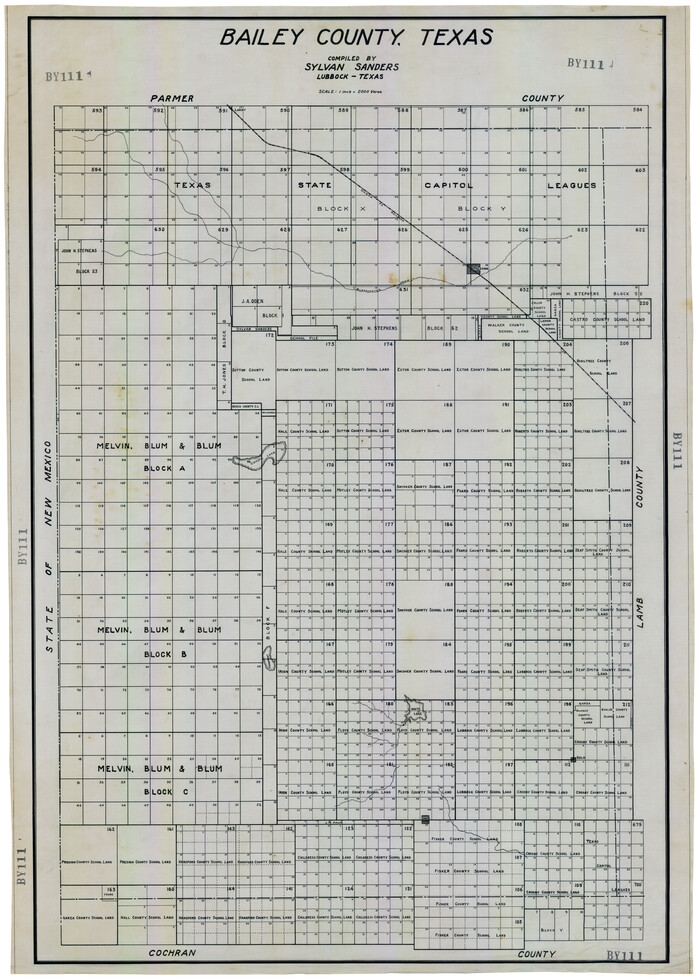 92528, Bailey County, Texas, Twichell Survey Records