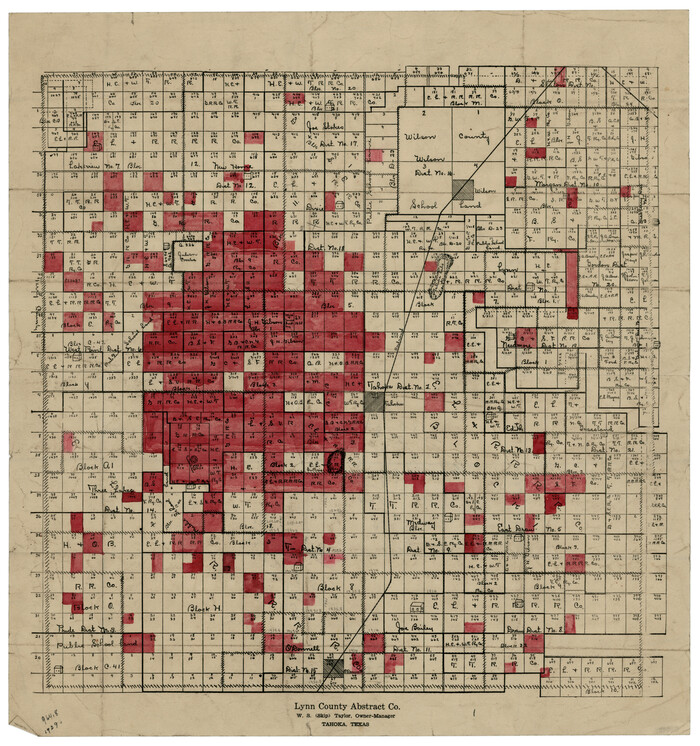 92895, Lynn County, Twichell Survey Records