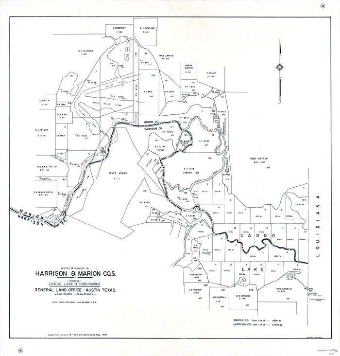93284, Sketch of surveys in Harrison & Marion Cos. Showing Caddo Lake & Subdivisions, General Map Collection