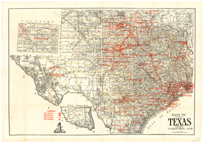 95696, Gallup's Map of Texas, General Map Collection