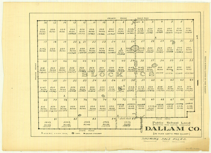 20350, Dallam County Sketch File 6, General Map Collection