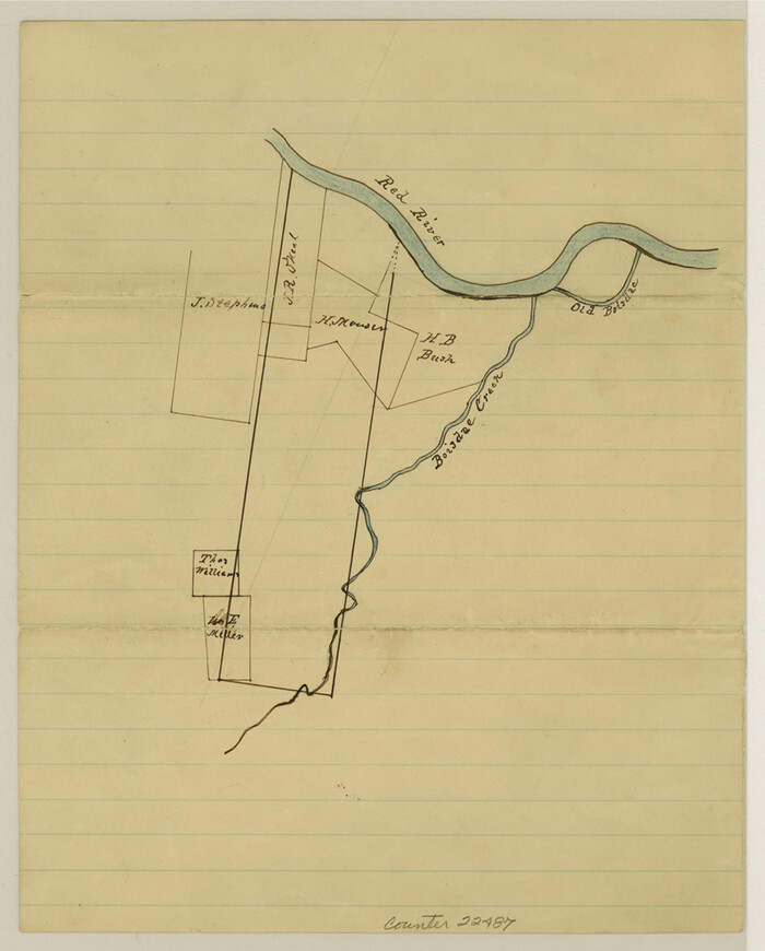 22487, Fannin County Sketch File 21, General Map Collection