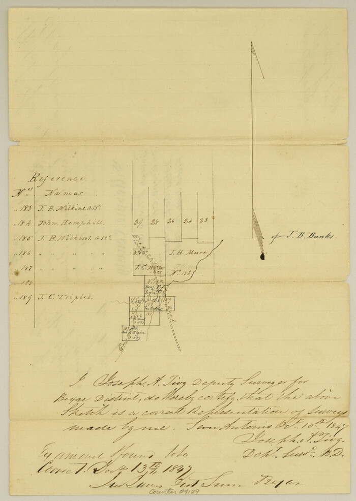 24129, Gillespie County Sketch File 3, General Map Collection