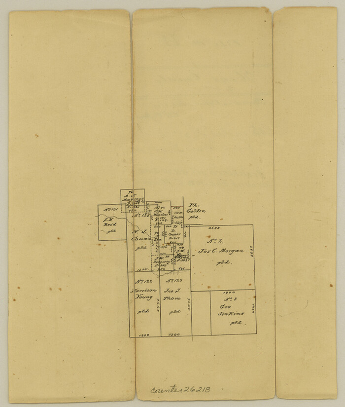 26218, Hays County Sketch File 12, General Map Collection