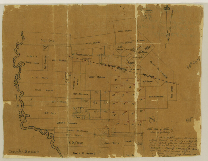 30003, Liberty County Sketch File 45, General Map Collection