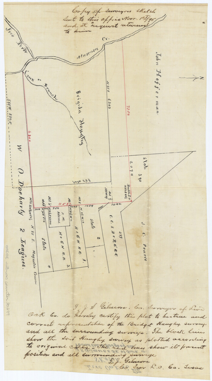 30299, Live Oak County Sketch File 22, General Map Collection