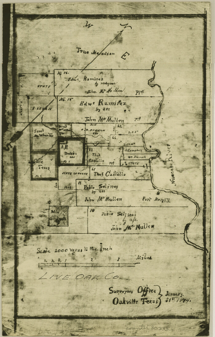 30333, Live Oak County Sketch File 33, General Map Collection