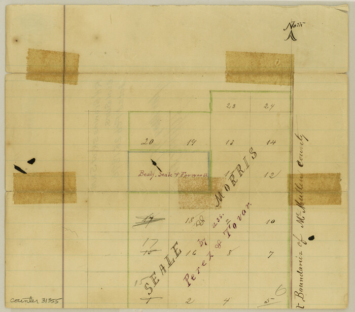 31355, McMullen County Sketch File 11, General Map Collection