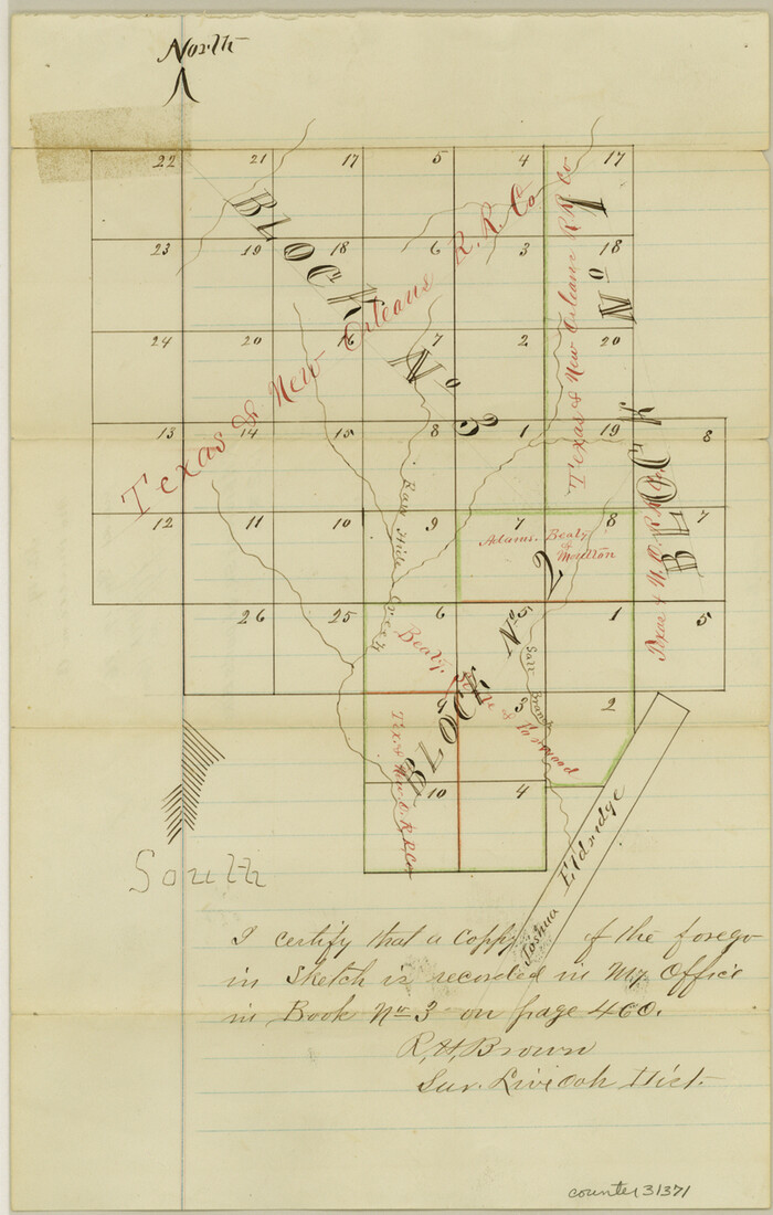 31371, McMullen County Sketch File 19, General Map Collection
