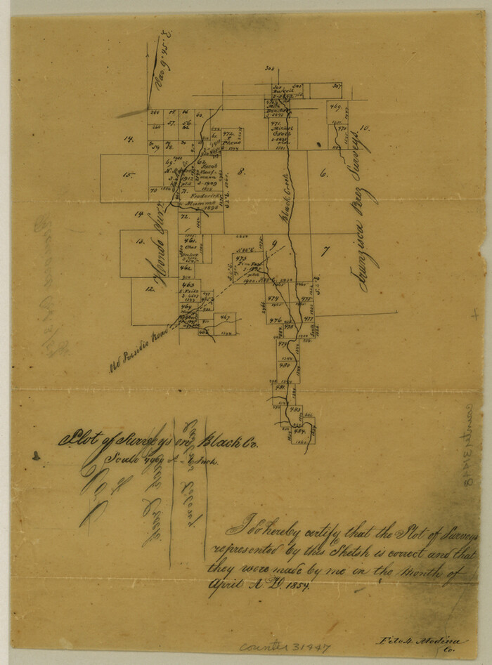 31447, Medina County Sketch File 4, General Map Collection
