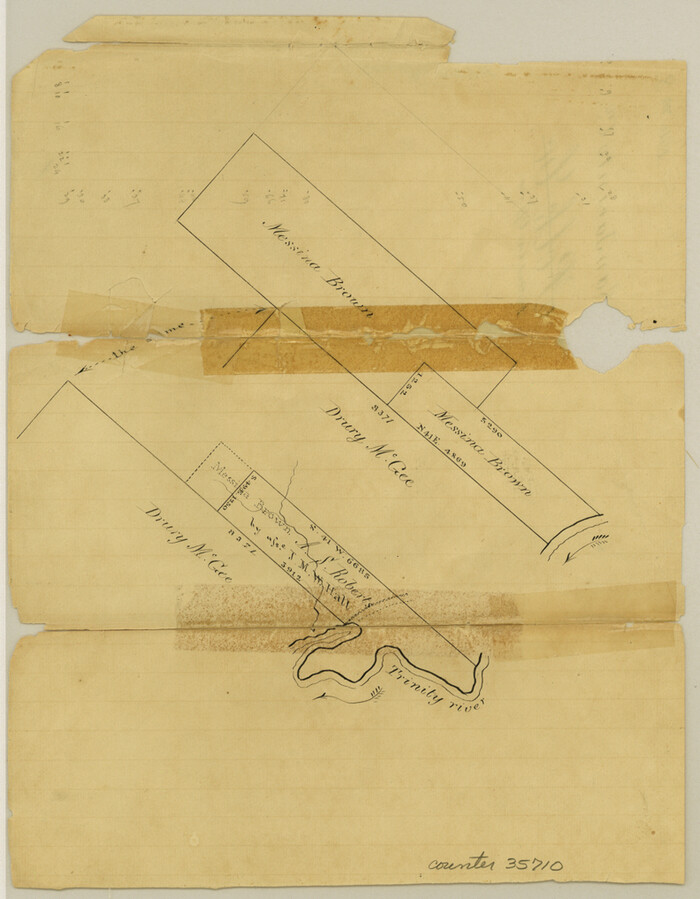 35710, San Jacinto County Sketch File 8, General Map Collection