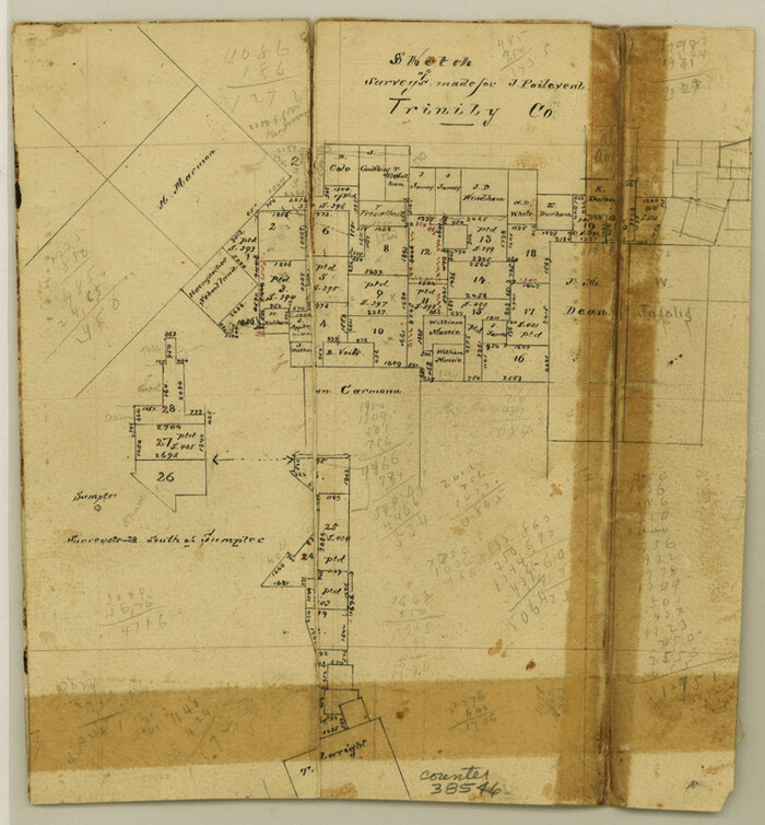 38546, Trinity County Sketch File 17, General Map Collection