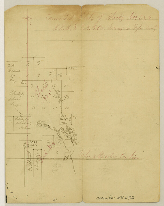 38642, Tyler County Sketch File 8, General Map Collection