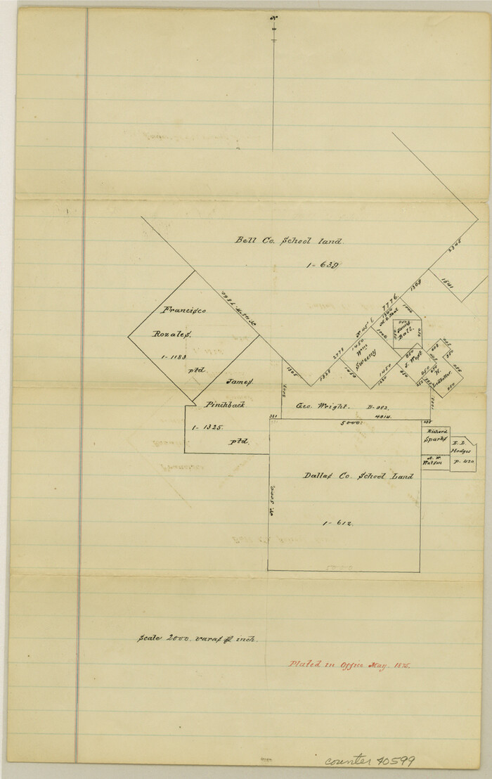 40599, Wise County Sketch File 41, General Map Collection