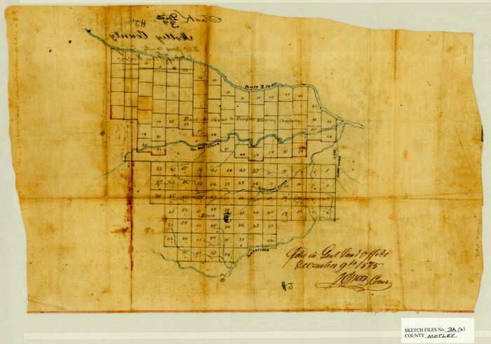 42136, Motley County Sketch File 3A (N), General Map Collection